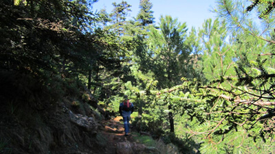 Estepona Turismo - Lugares de Interes - Sierra Bermeja